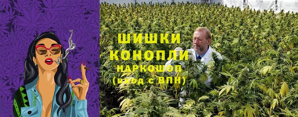 шишки Алексеевка