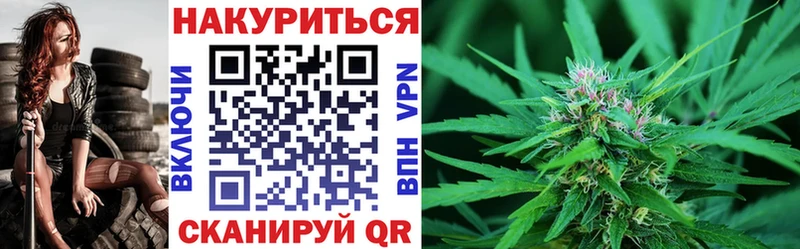 Шишки марихуана сатива  Пущино 
